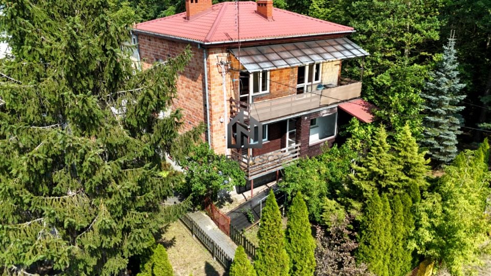 Zdjęcie 2
