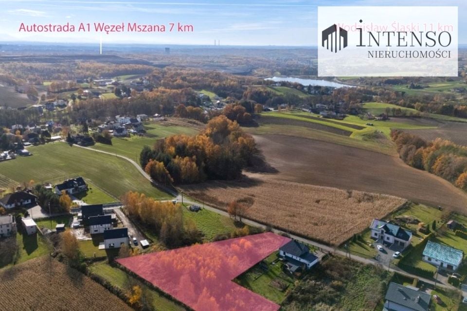 Działka Gogołowa