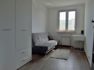 Pokój Toruń