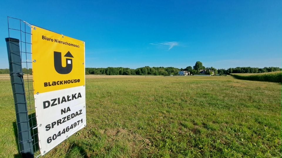 Zdjęcie 2
