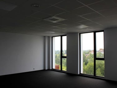 Lokal Kraków