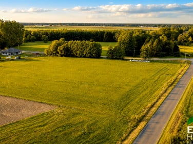 Działka przy lesie