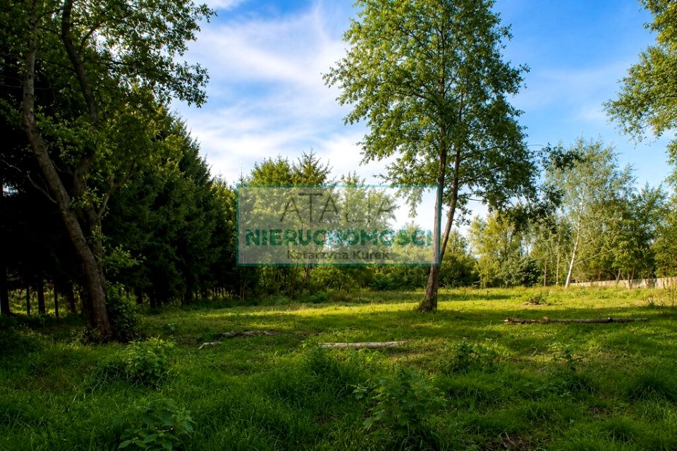 Zdjęcie 3