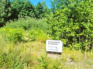 Działka budowlana Wołomin