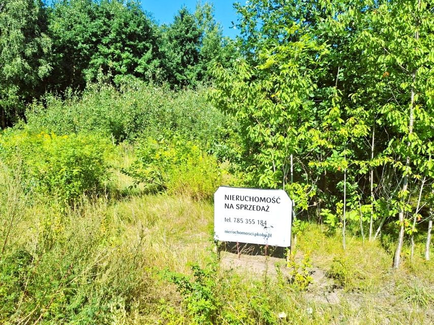 Działka budowlana Wołomin