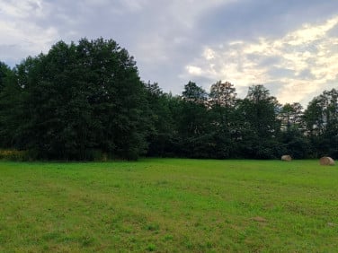Działka Celinów