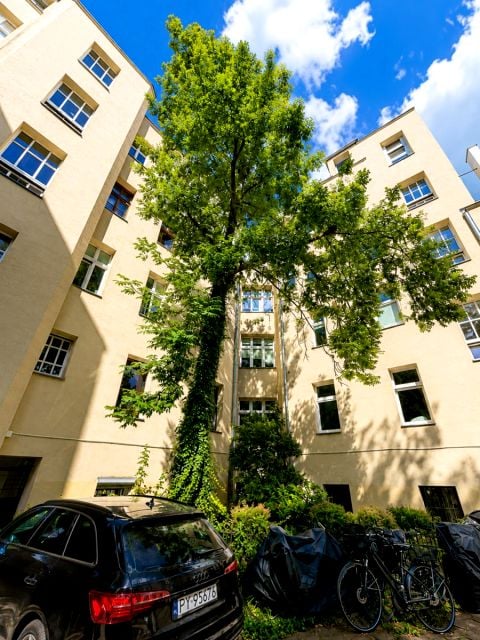 Zdjęcie 2