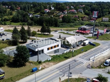 Lokal Sanok