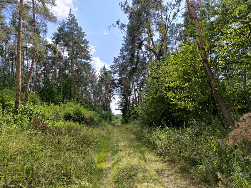 Działka Kozowo