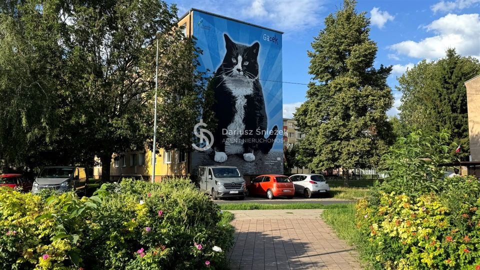 Mieszkanie Szczecin