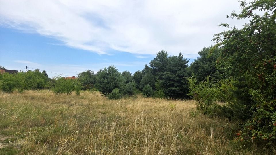 Zdjęcie 2