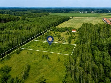Działka Ostrowina