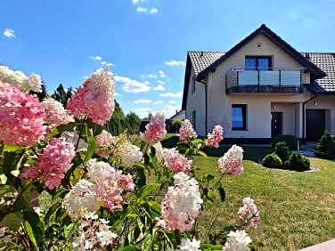Dom Brzezina