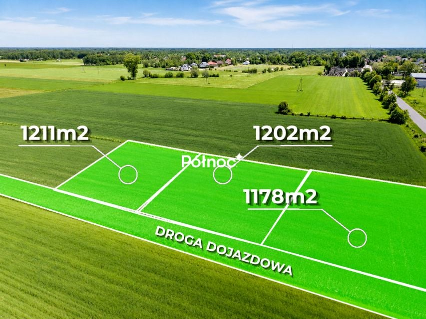 Zdjęcie 2