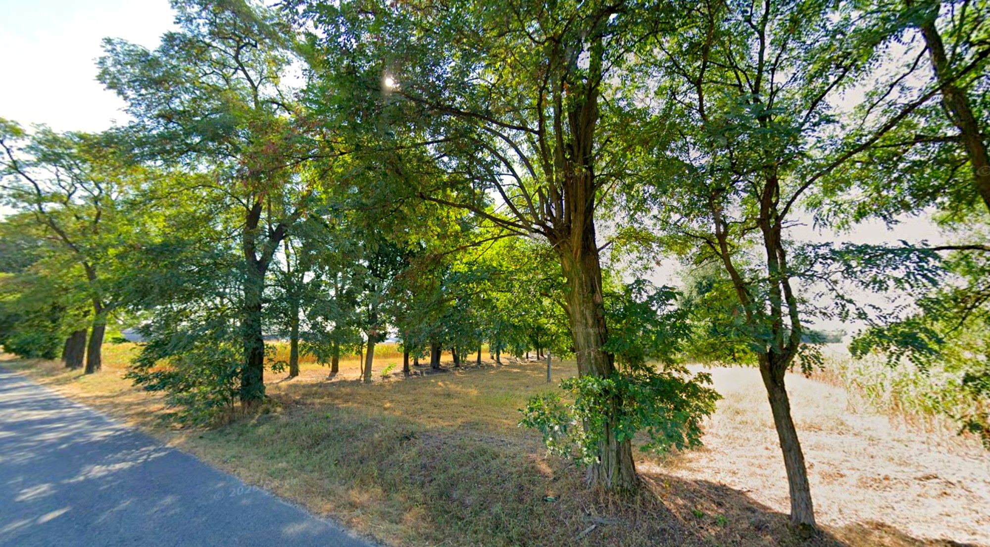 Działka Budowlana, ul. Parkowa