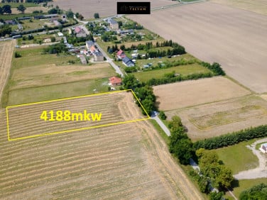 Działka przy lesie