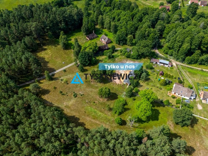 Działka siedliskowa Dzików