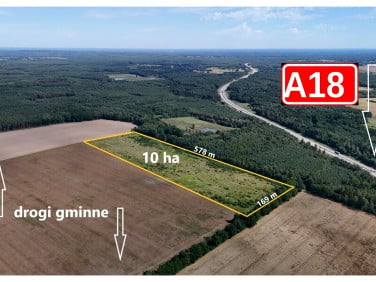 Działka siedliskowa Boruszyn