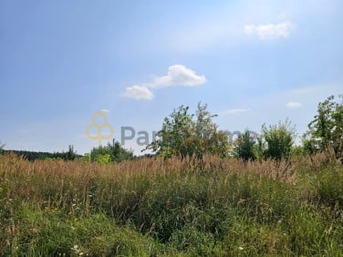 Działka inna Szymanowo