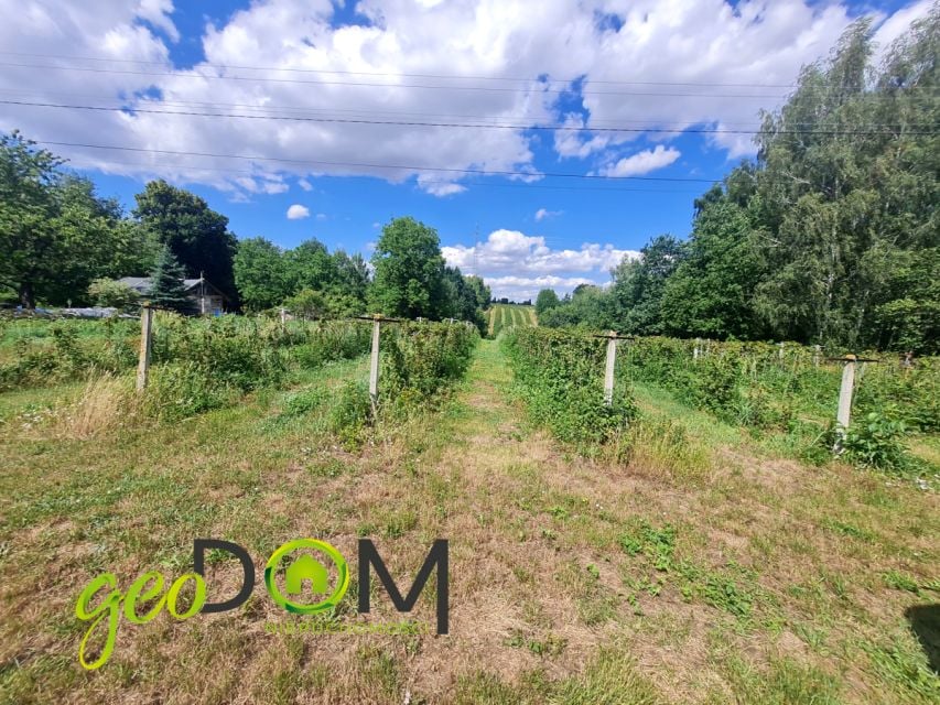 Działka budowlana Drzewce-Kolonia