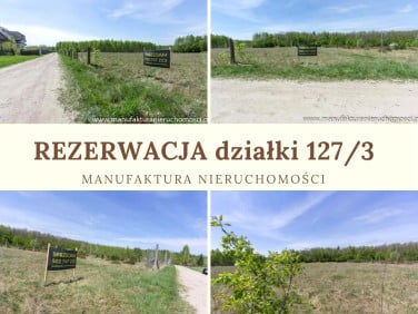 Działka Białowieża