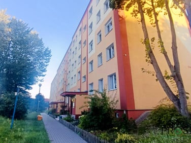 Mieszkanie Zielona Góra
