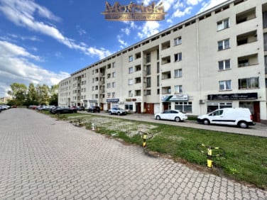 Lokal Warszawa