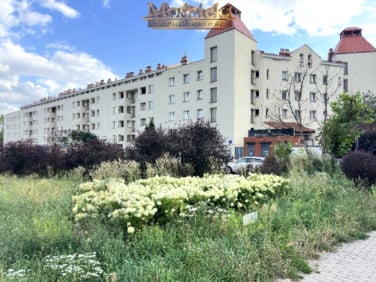Lokal Warszawa