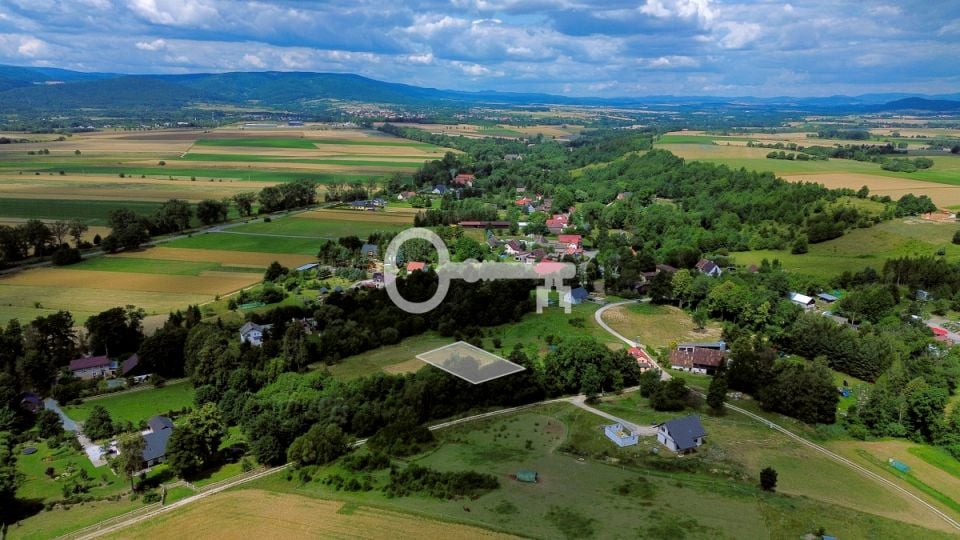 Zdjęcie 2