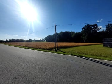 Działka budowlana Celiny