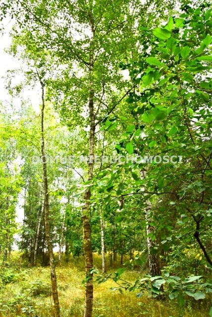 Działka budowlana Zacywilki