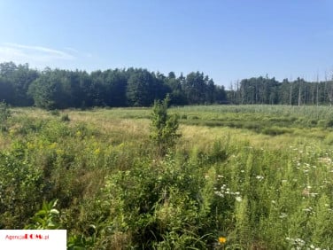 Działka budowlana Zboiska