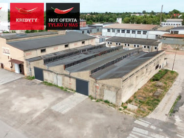 Lokal Pakość