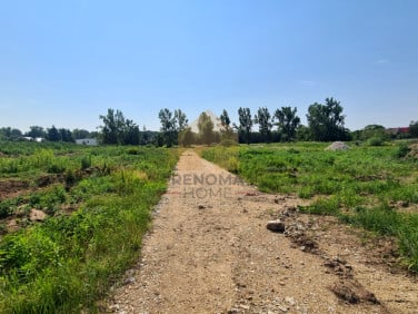 Działka budowlana Chwaliszów