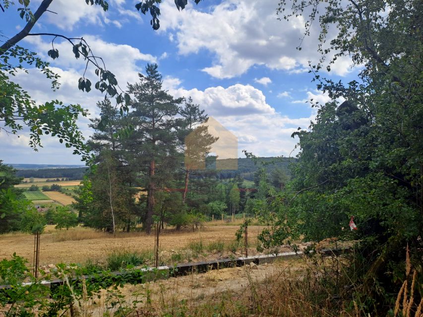 Zdjęcie 3