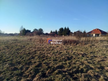 Działka przy lesie