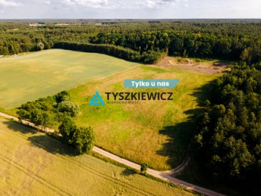 Działka Lipy