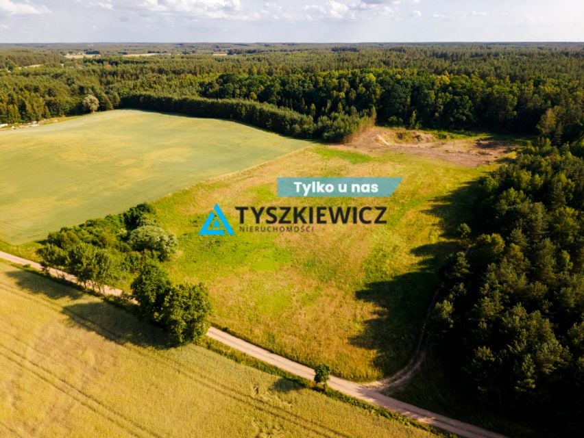 Działka Lipy