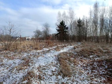 Działka budowlana Chocianów