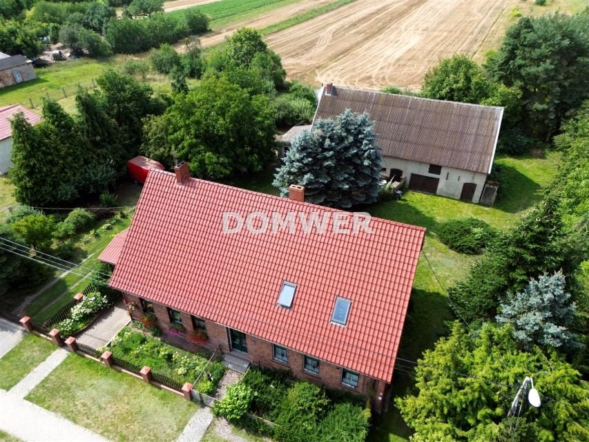 Zdjęcie 2