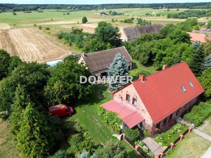 Zdjęcie 3