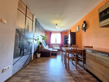 Mieszkanie Legnica