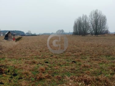 Działka Łagodzin