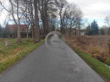 Działka Bolemin