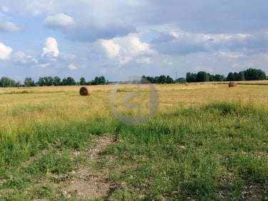 Działka budowlano-rolna Prądocin