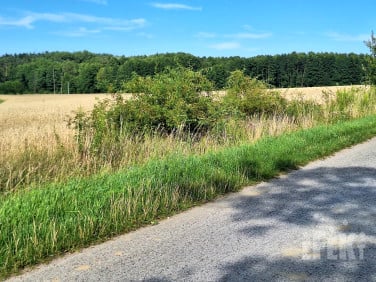 Działka budowlana Korabiewice