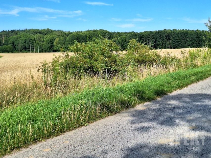 Działka budowlana Korabiewice