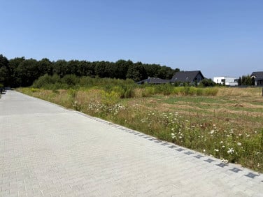Działka budowlana Tarnowskie Góry
