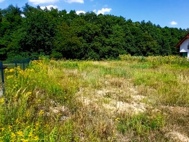Działka budowlana Wilkszyn sprzedam