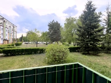 Mieszkanie Toruń